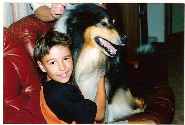 Aust. Ch Moon Wizard at Corydon (imp. UK).jpg