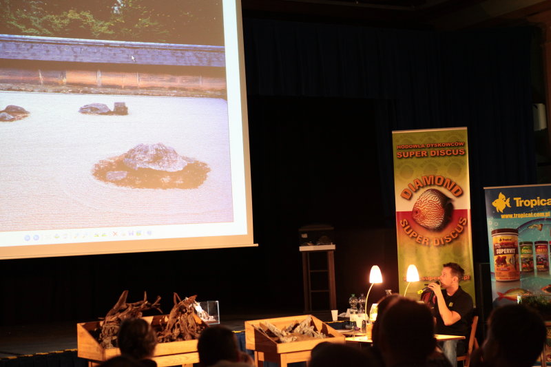 Zakładanie akwarium w stylu nature- Paweł Paszczela -ADA.JPG