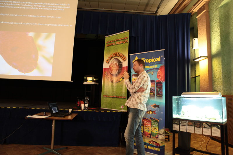 Adrian Brożyna -Wężogłowy -1a.JPG