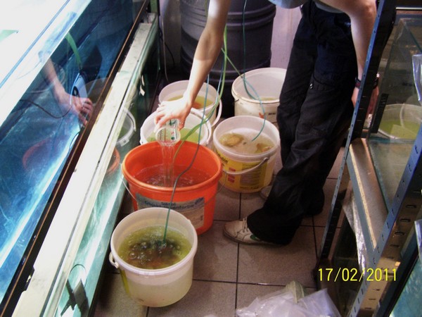 Polskie Klub Miłośników DysKowców 8.jpg