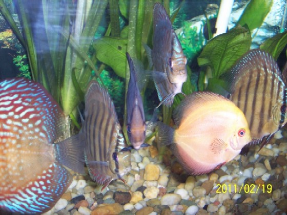 100_4582 (800x600) (2).jpg