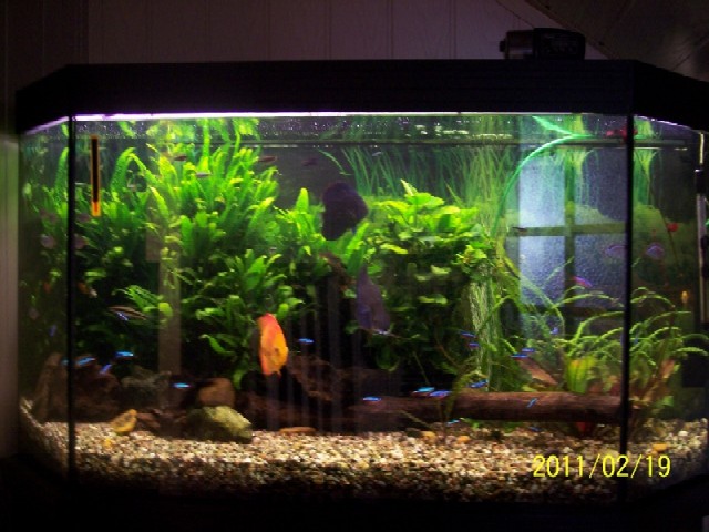 100B4450 (800x600) (2).jpg