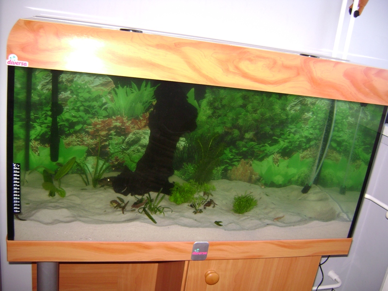 akwarium.JPG