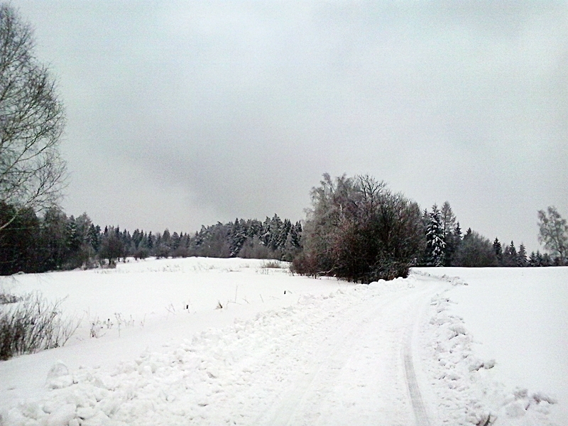 2013-04-07 15.15.39.jpg