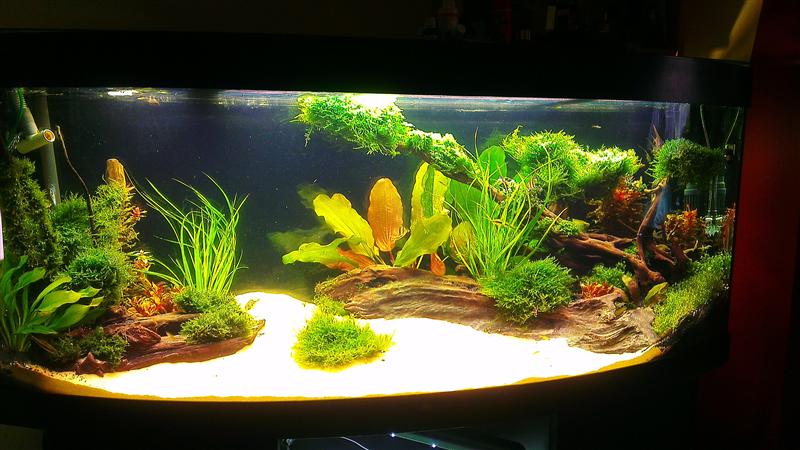 IMAG0503 (Custom).jpg