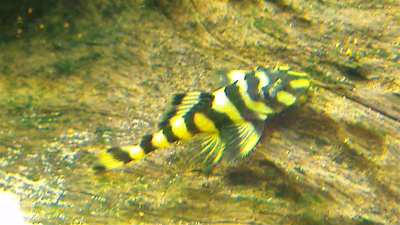 IMAG0624 (Custom).jpg