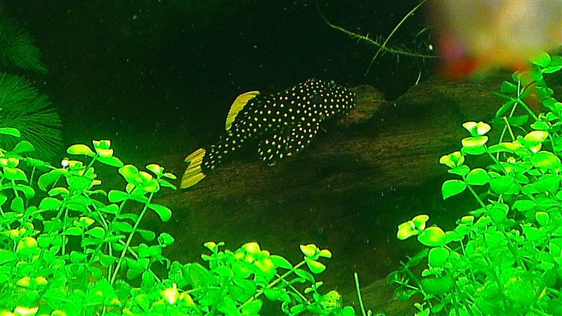 IMAG0630 (Custom).jpg