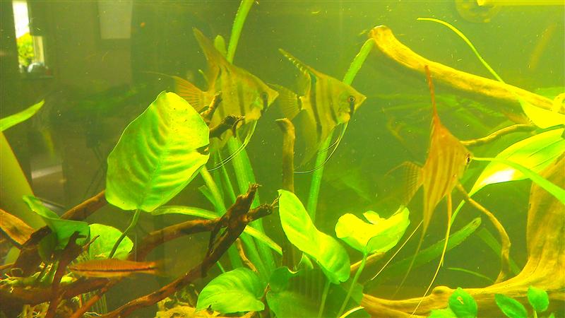 IMAG0697 (Custom).jpg