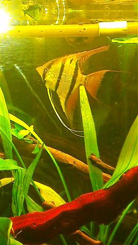 IMAG0709 (Custom).jpg