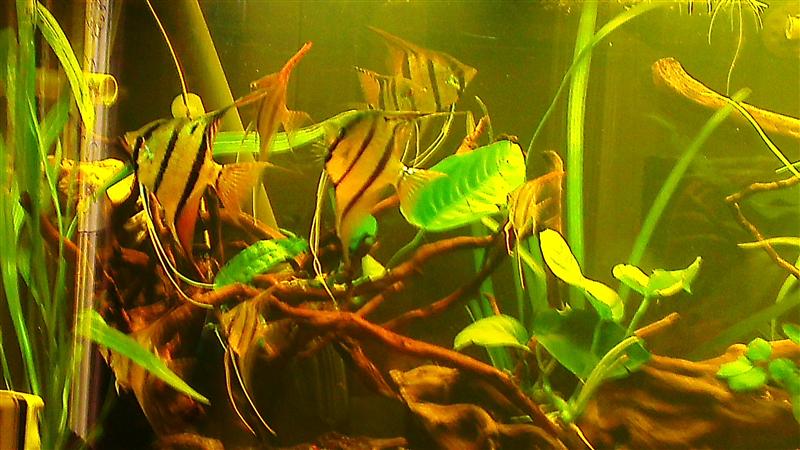 IMAG0715 (Custom).jpg