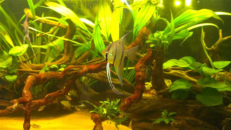 2013-07-20 18.59.39 (Custom).jpg