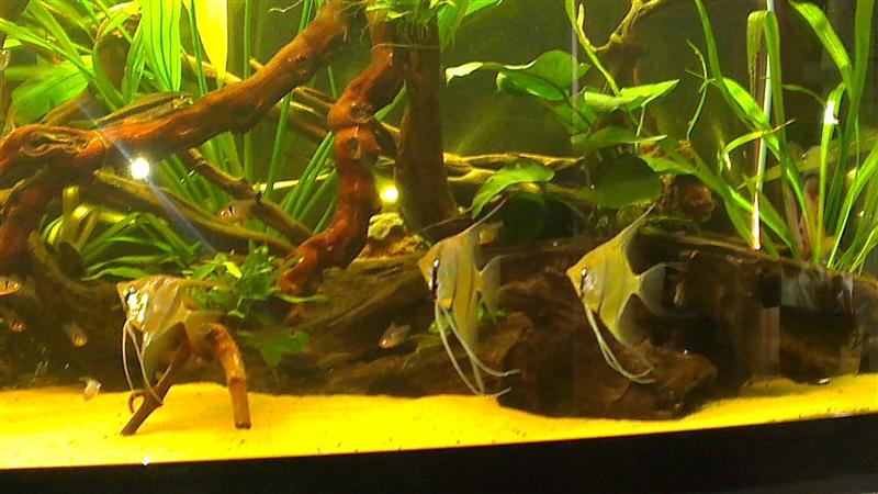 2013-07-20 19.01.54 (Custom).jpg