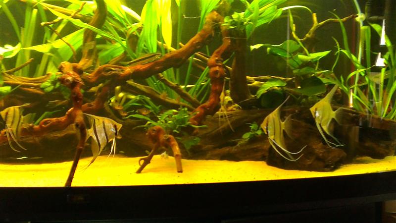 2013-07-20 19.02.59 (Custom).jpg