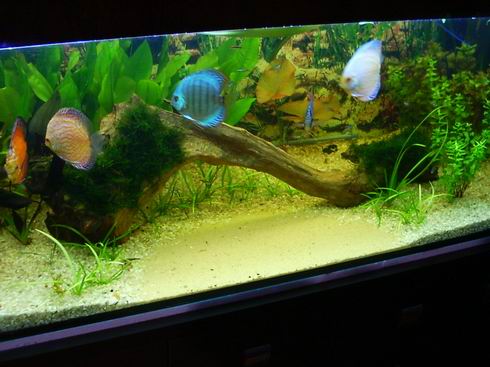 Resize of Obraz 154.jpg