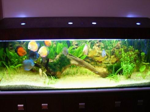 Resize of Resize of Obraz 133.jpg