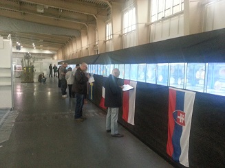 sędziowanie rozpoczęte.jpg