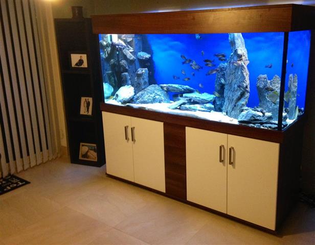 photo_1 (Custom).jpg