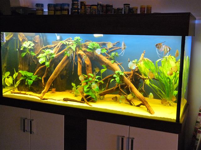 P1070126 (Custom).JPG