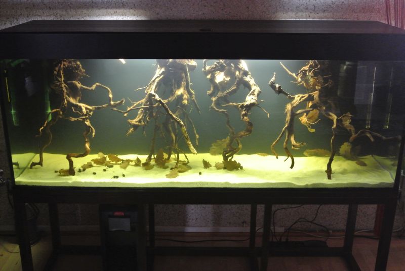 akwa start 30.12.13.jpg