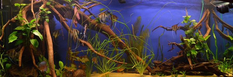 akwa (Kopiowanie).jpg