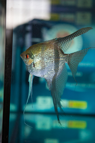 1.-Krzysztof-Gajoszek F.jpg