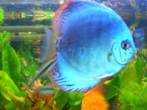 Resize of Obraz 168.jpg