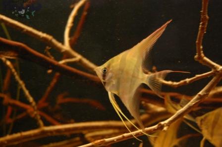 DSC_0022_wm PKMD.jpg