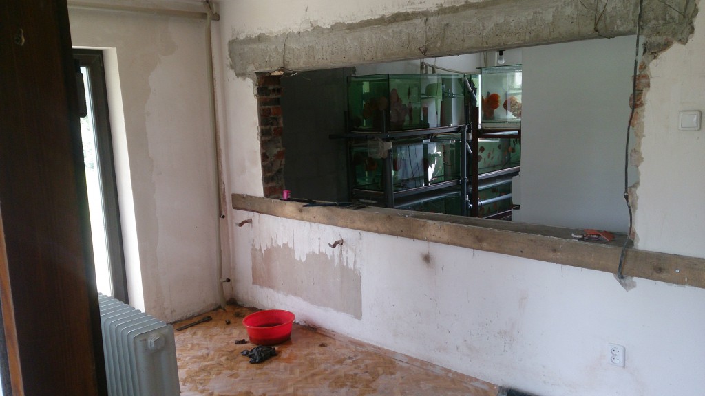 DSC_1191.JPG (1.75 MiB) Przejrzano 9843 razy DSC_1191.JPG