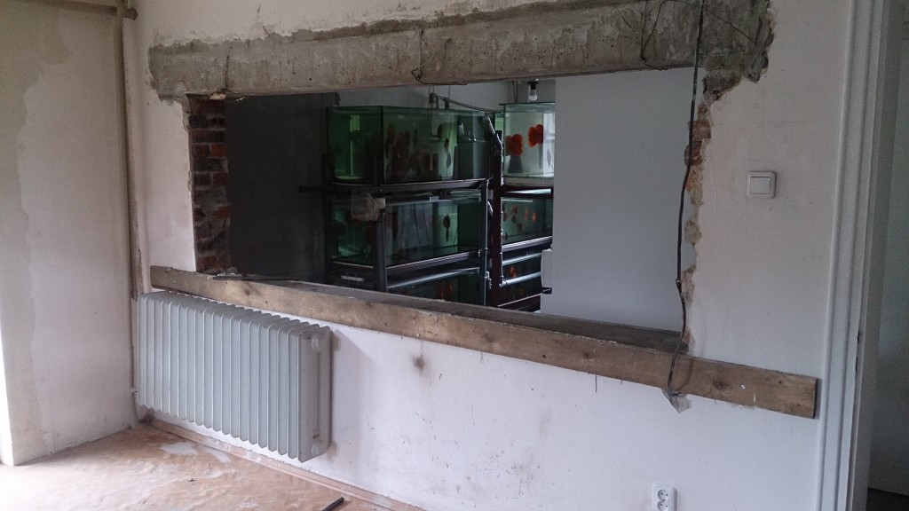 DSC_1190.JPG (1.91 MiB) Przejrzano 9843 razy DSC_1190.JPG