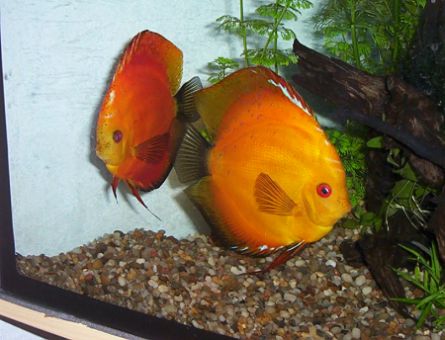 1 dzien na plecach.jpg