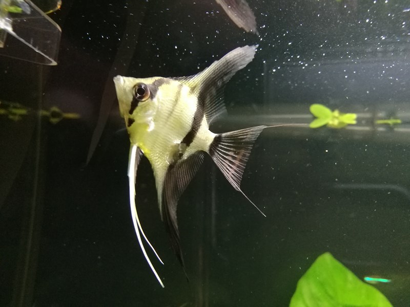 IMG_20161109_201643 (Kopiowanie).jpg