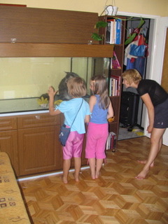 Lapal sobie muchy.jpg