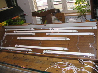 Troche dużo tego, ale zapas biedy nie czyni.jpg