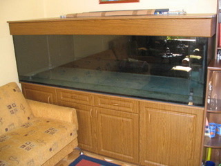 Forme pierwszy raz zalano ;).jpg