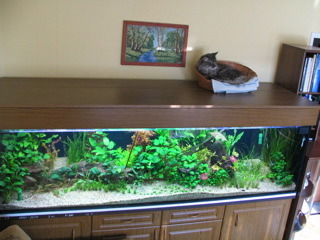 Ziele posadzone i biologia rusza razem z glonojadami.jpg