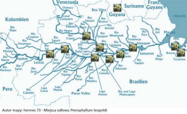 miejsca odłowu żaglowca Leopolda 1.png