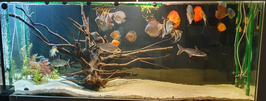 Zrzut ekranu 2024-04-23 213307.jpg