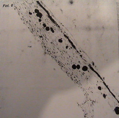 5,6,7,8,9,10,11 002.jpg