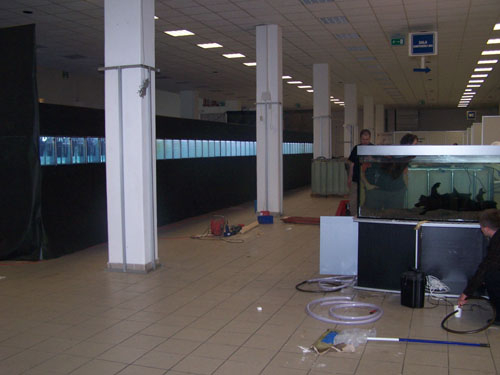 Kraków 2006 065.jpg