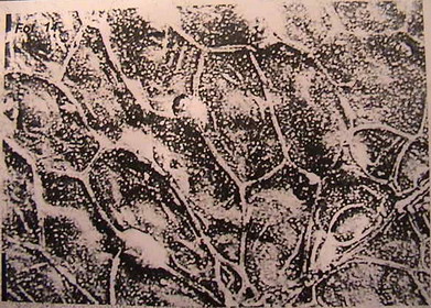 5,6,7,8,9,10,11 003.jpg