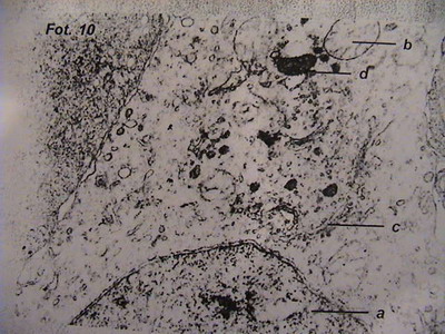 5,6,7,8,9,10,11 005.jpg