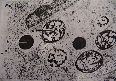 5,6,7,8,9,10,11 006.jpg