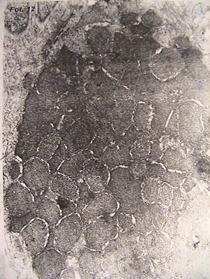 5,6,7,8,9,10,11 007.jpg