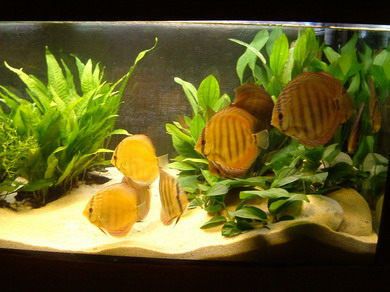 NM1BG_Bildgröße ändern.jpg