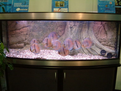 NM61Y_Bildgröße ändern.jpg