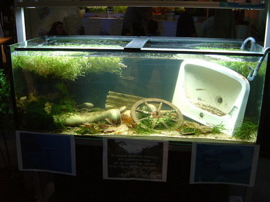 NMDM2_Bildgröße ändern.jpg