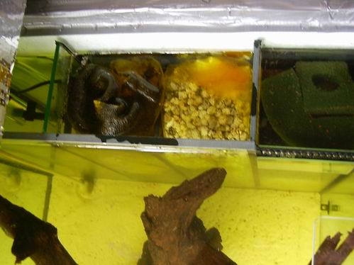 Resize of 7 filtr.jpg