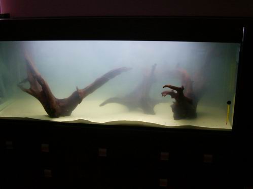 Resize of 13 mgła.jpg