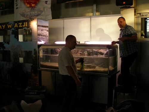 faza sadzenia roślin.JPG