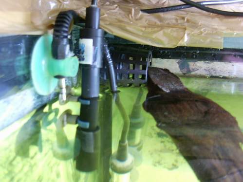 resize 9 odpływ i sondy.JPG